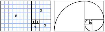 the fibonacci sequence explained