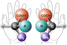 Chirality in chemistry Representation of chirality in chemistry in comparison to human hands